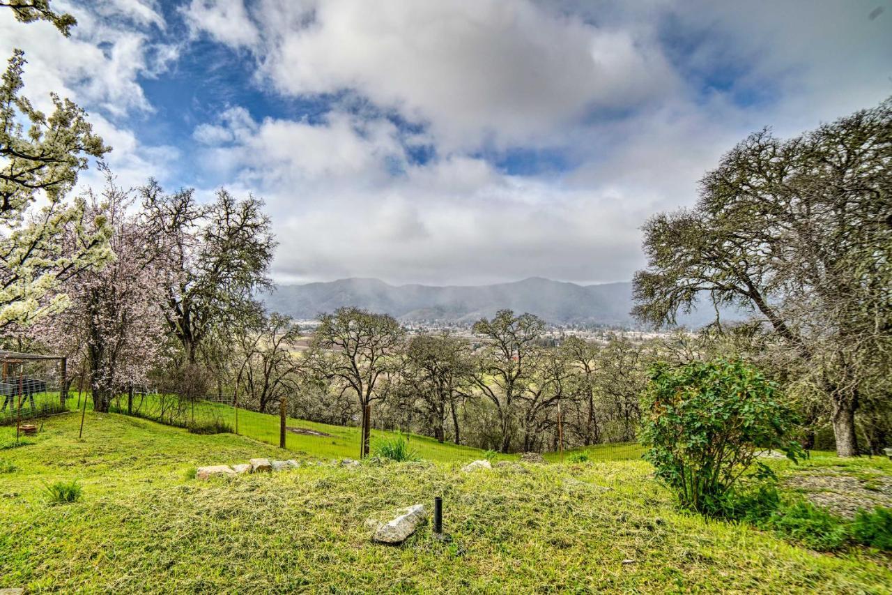 Hilltop Loft Ukiah Vacation Rental! Екстериор снимка