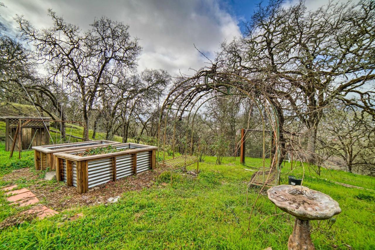 Hilltop Loft Ukiah Vacation Rental! Екстериор снимка